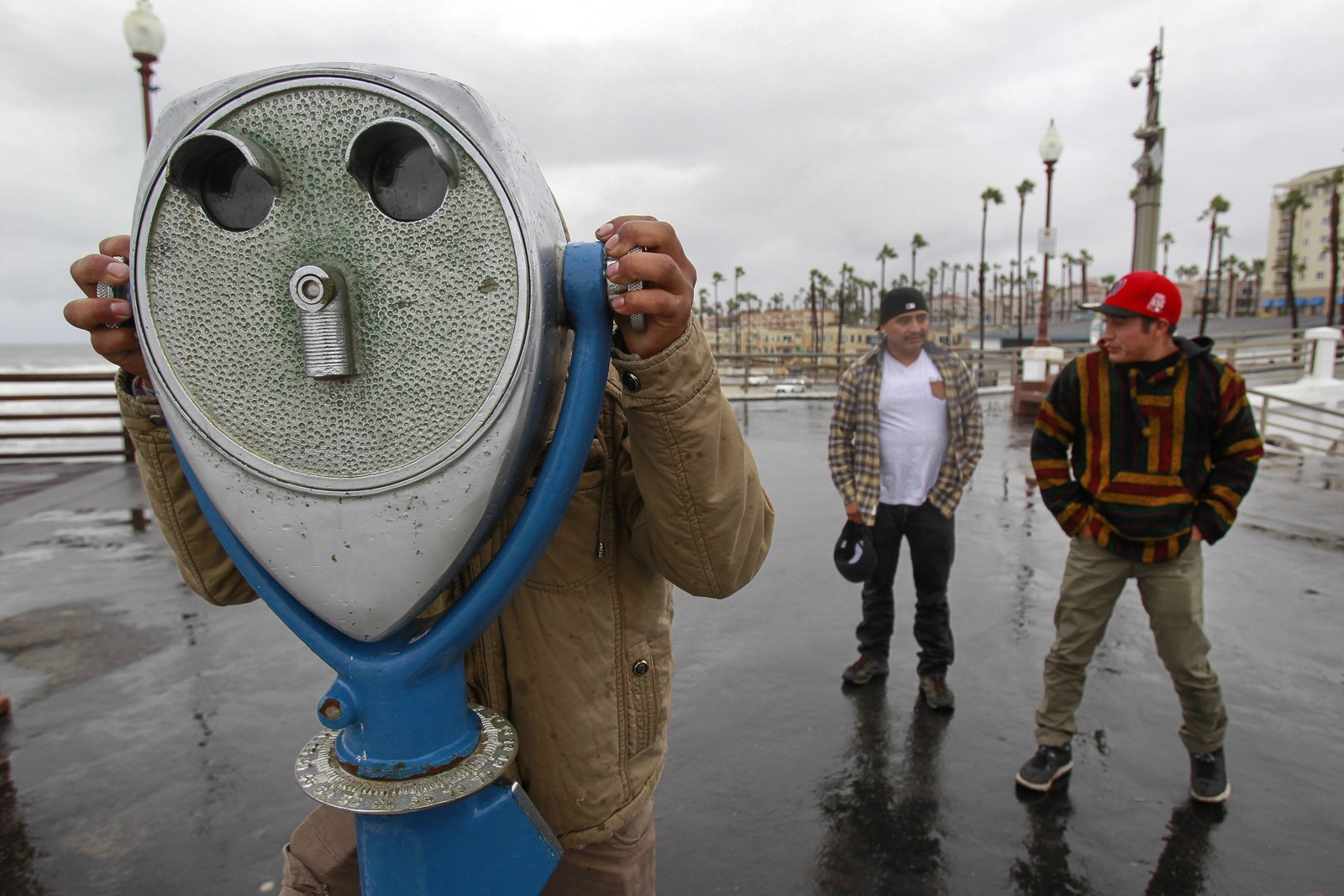 置物 DW THE MILLENNIUM AT HORSESHOE BAY Dinos on Whidbey? This Freeland yard is a Jurassic Park