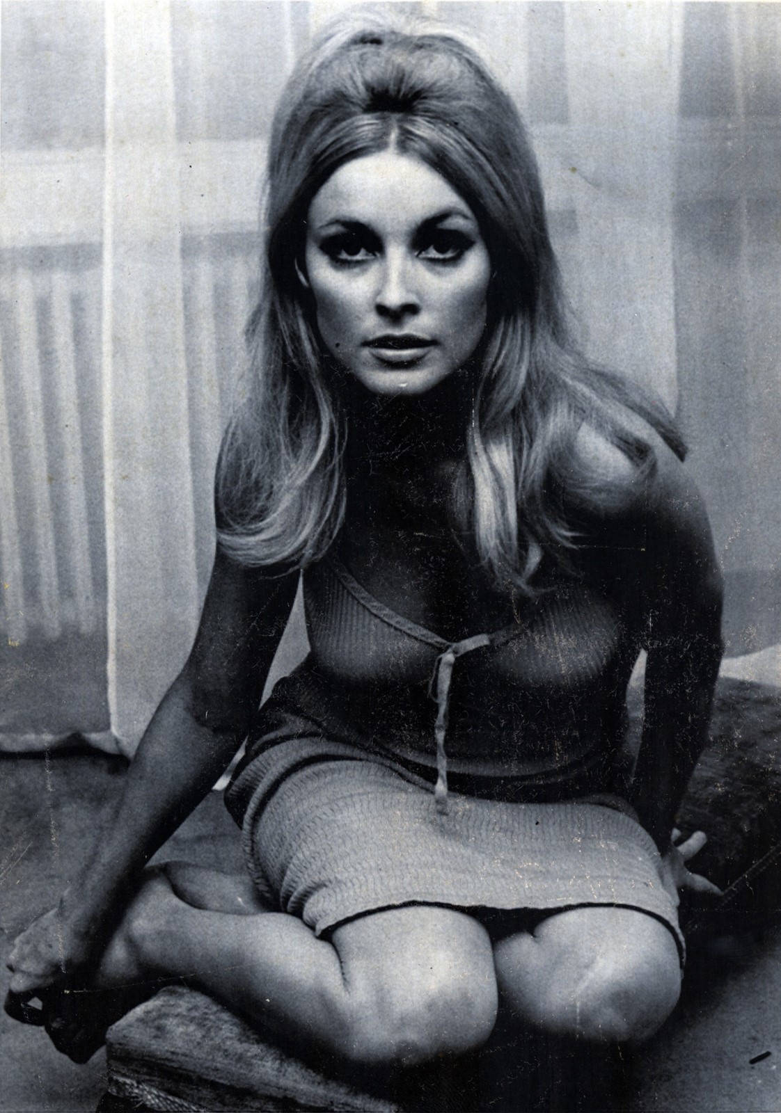 Sharon tate playboy photos