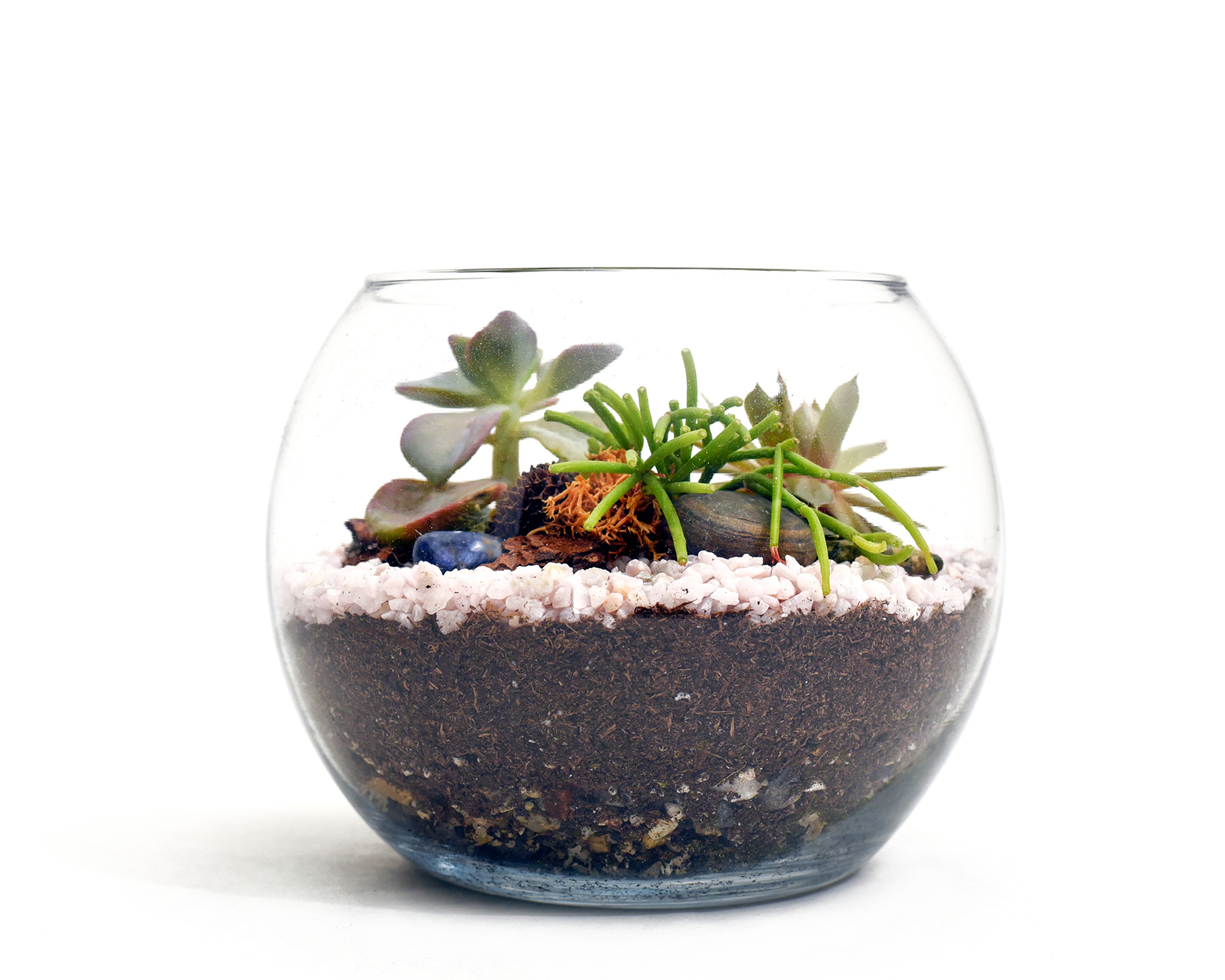 CT_IC_1051022410_1050418288_009-1207_TNS--ATHOME-WINTER-TERRARIUM-DMT.jpg