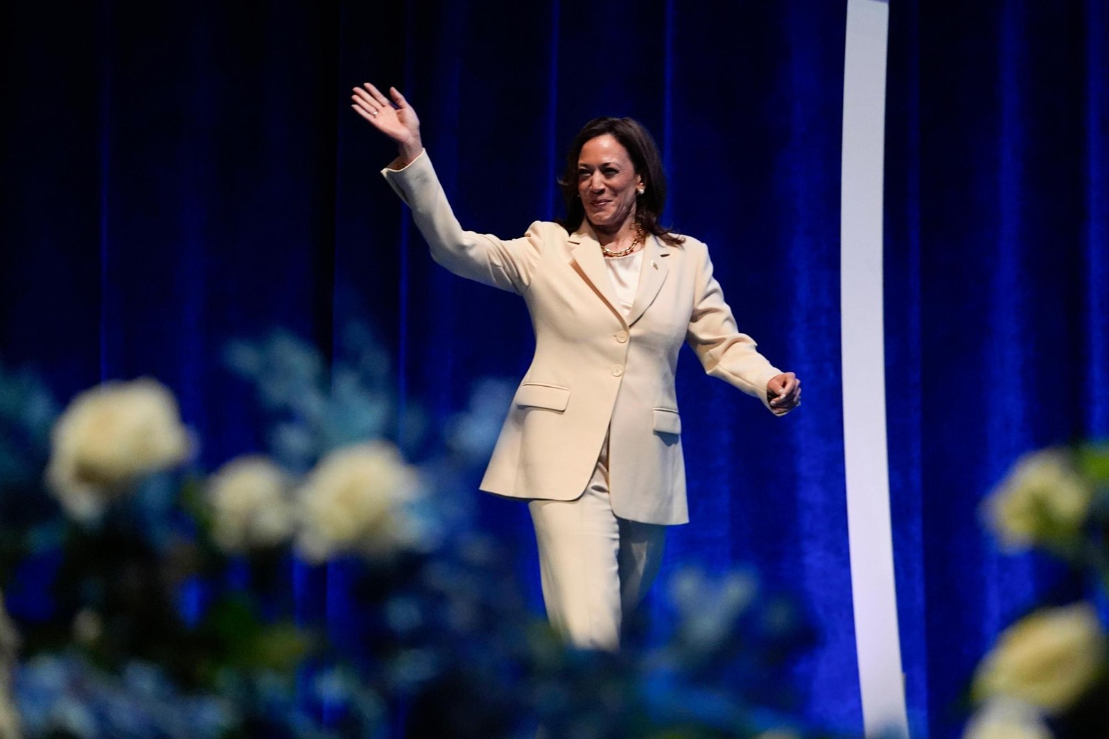 CT_IC_1047326788_1047368422_009-0804_APTOPIX_Election_2024_Harris_14285.jpg