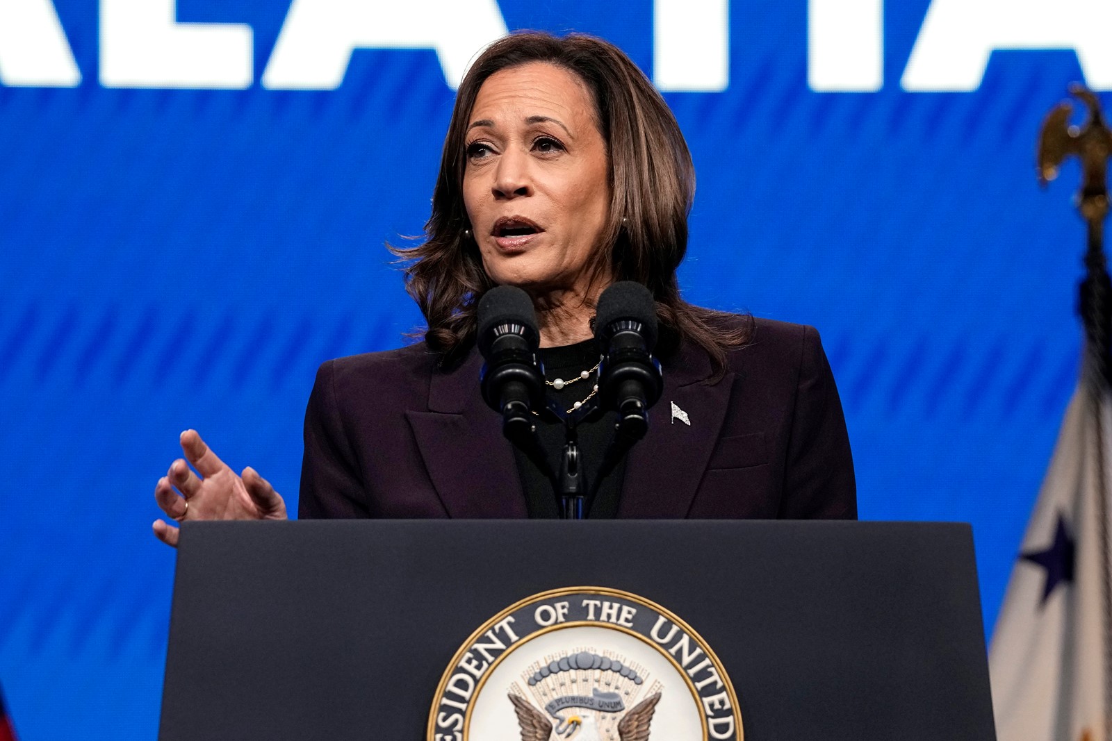 CT_IC_1047031683_1047110108_004-0728_Election_2024_Harris_Economy_99101--ed791.jpg