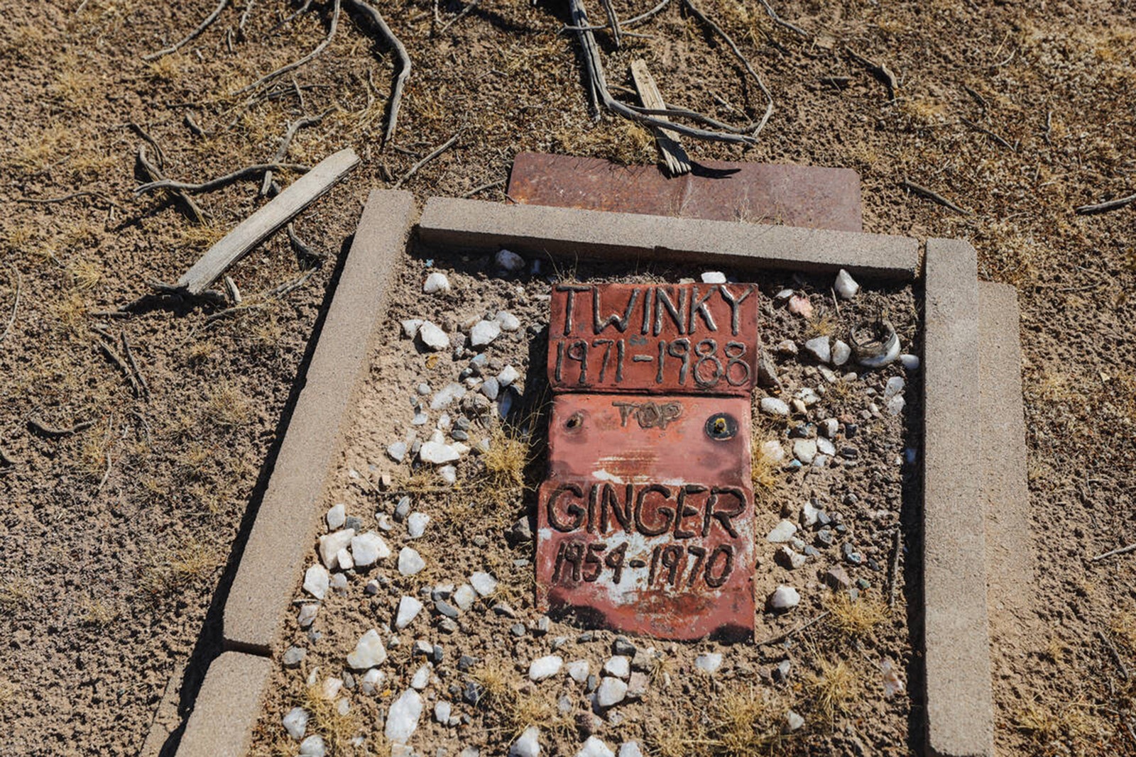 CT_IC_1051386846_1050309768_009-1218_TNS--BOOKS-BOOK-PET-CEMETERIES-6-LV.jpg