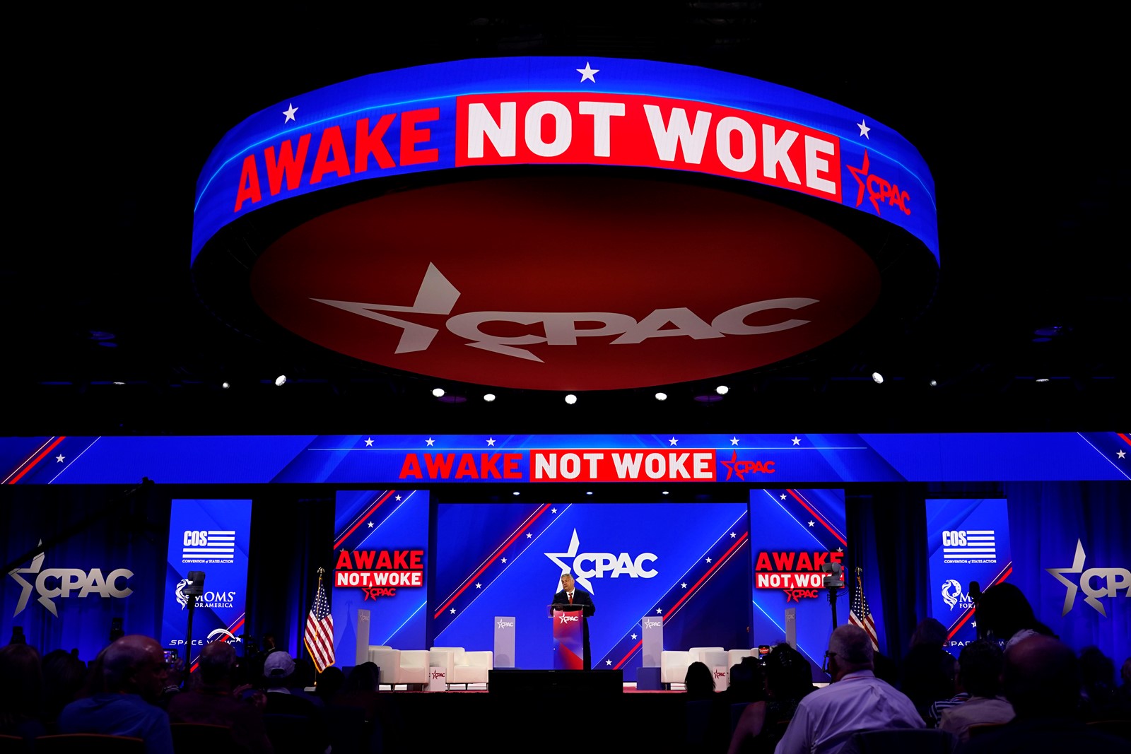 CT_IC_1026888889_1026914864_008-0817_sc-op-0817-krugman-nyt.jpg