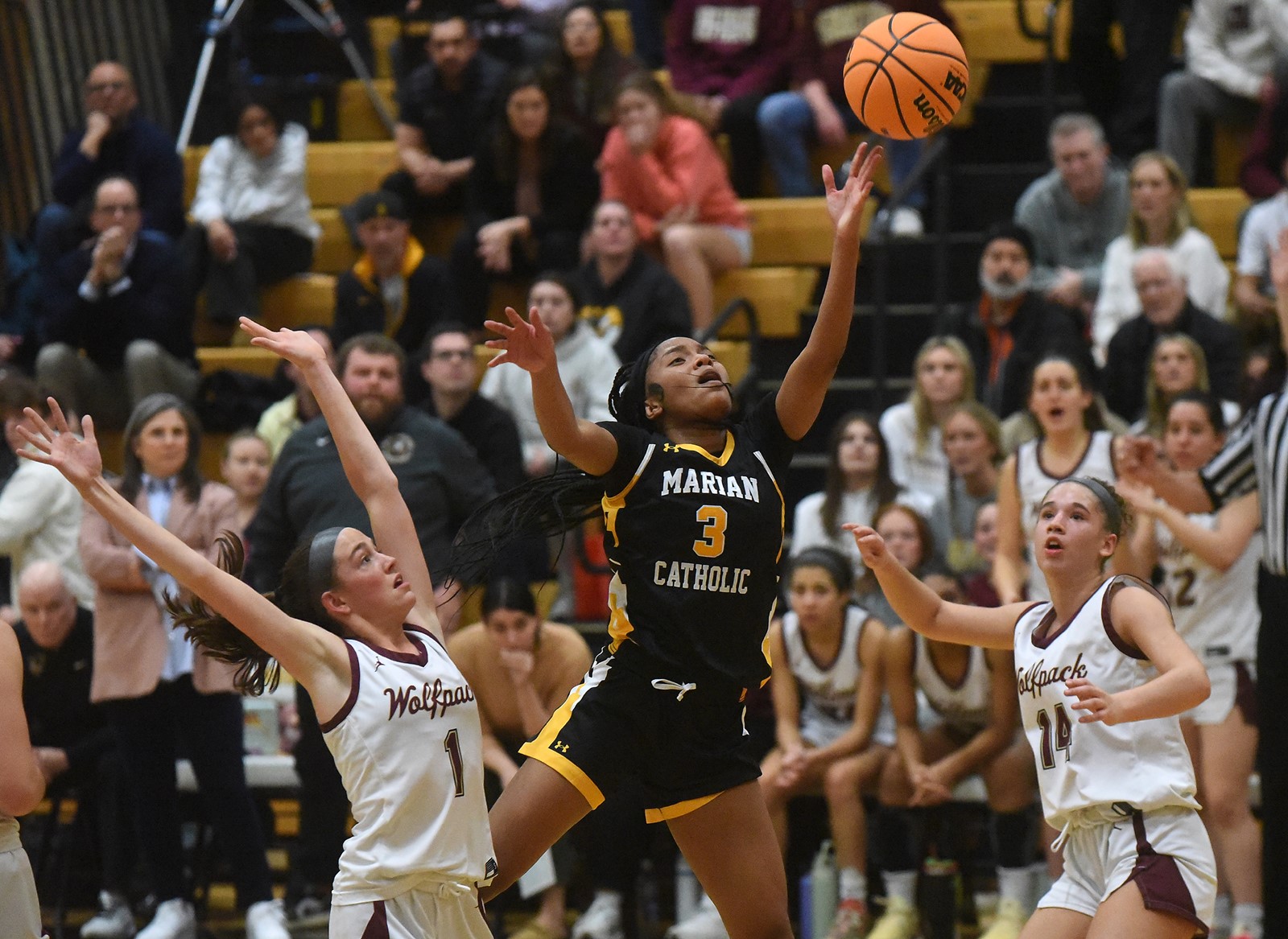 CT_IC_1053570085_1053582271_015-0305_STA-L-GBK-HINSS-SUPER-0305-05.jpg