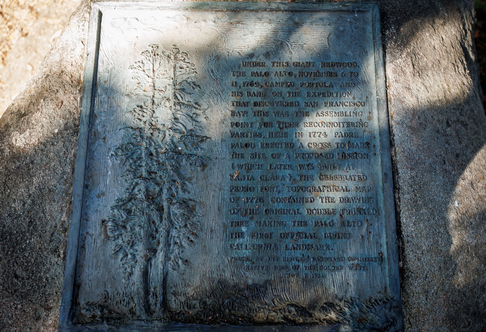 SJM-L-TREE-1110-5_1086522874.jpg