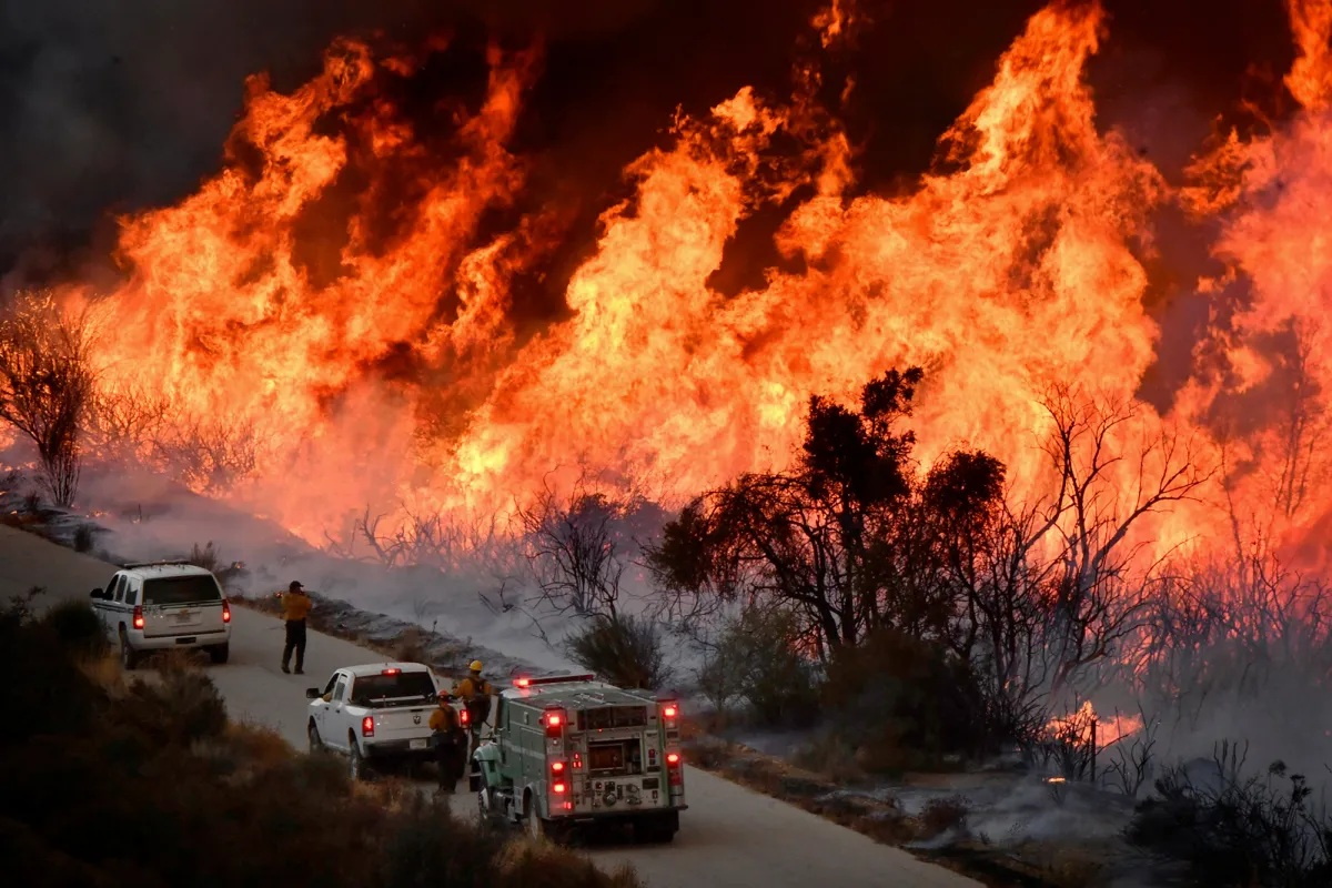 0308_NWS_LRB-L-Thomasfire_1090566475.jpg