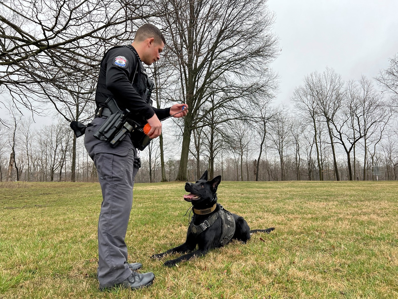 Cannabis_Sniffing_Police_Dogs_Ohio_52491--80e70_1075927159.jpg