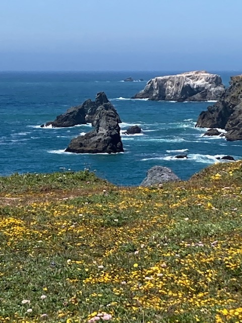0517_NWS_TPD-L-bodega-051826-01_1106747964.jpg