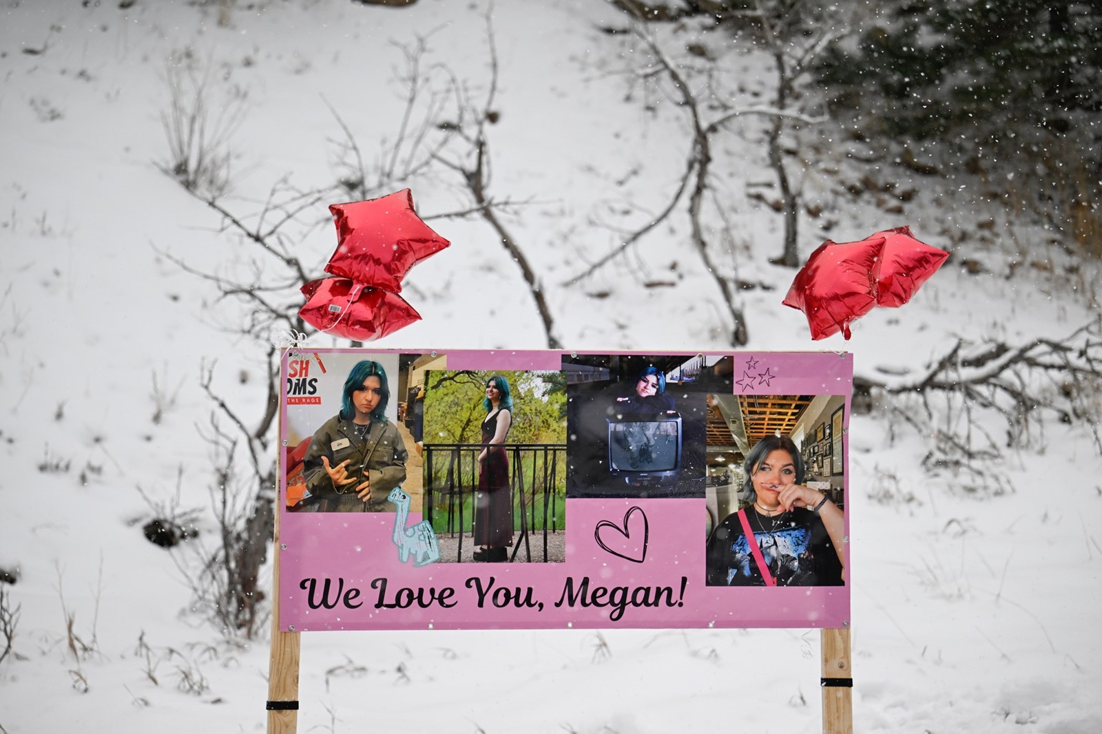 DCC-L-MEGAN_2MJ2217_1104904201.jpg
