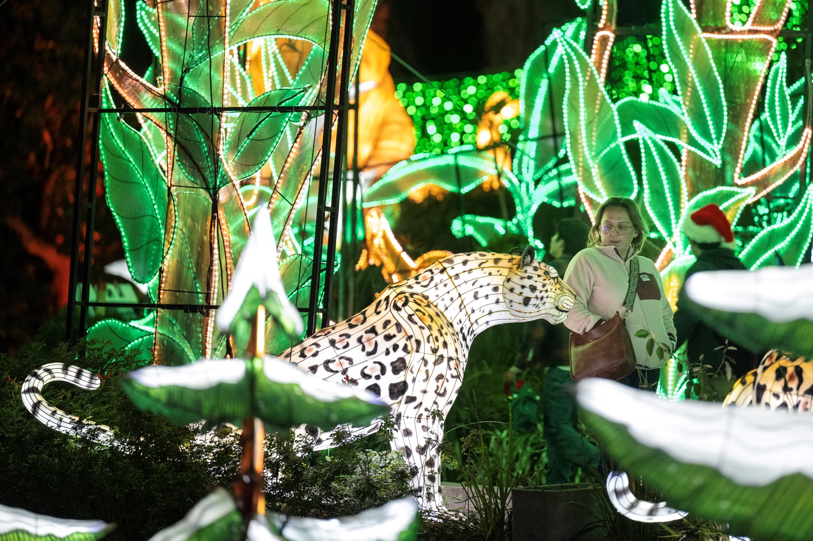 LDN-L-ZOO-LGBTQIA-13-1213-_1087589998.jpg