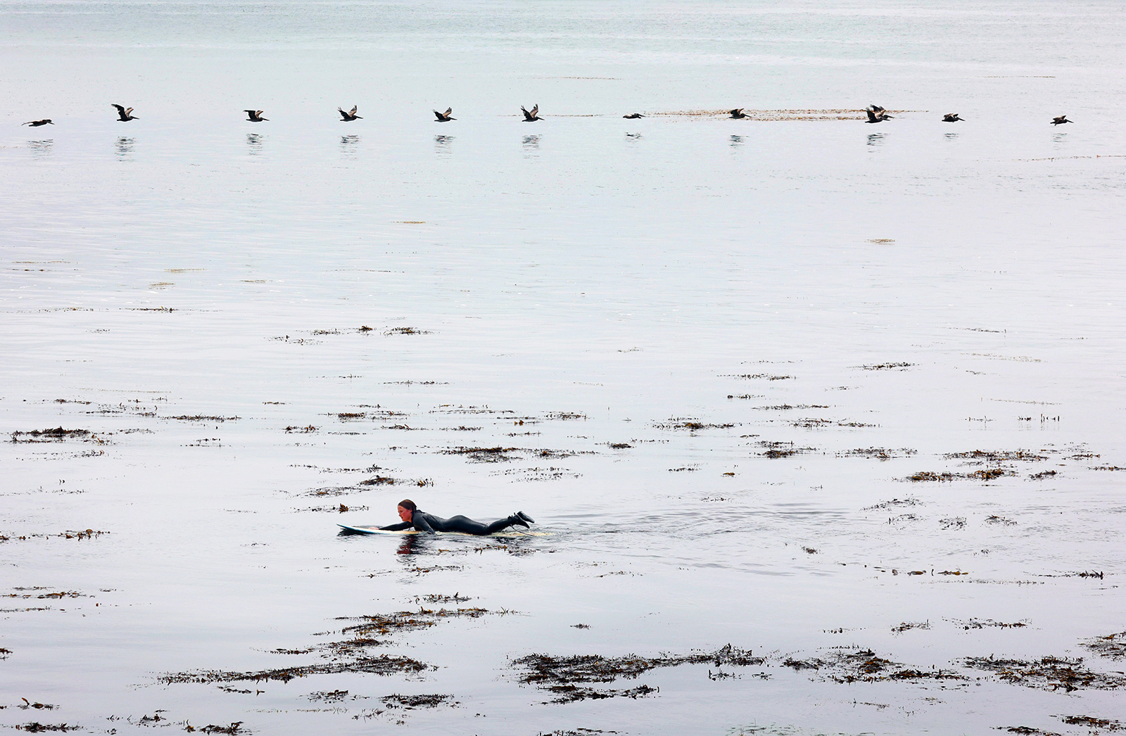 0827_NWS_STC-L-KELPSURFER-0828_1066416336.jpg