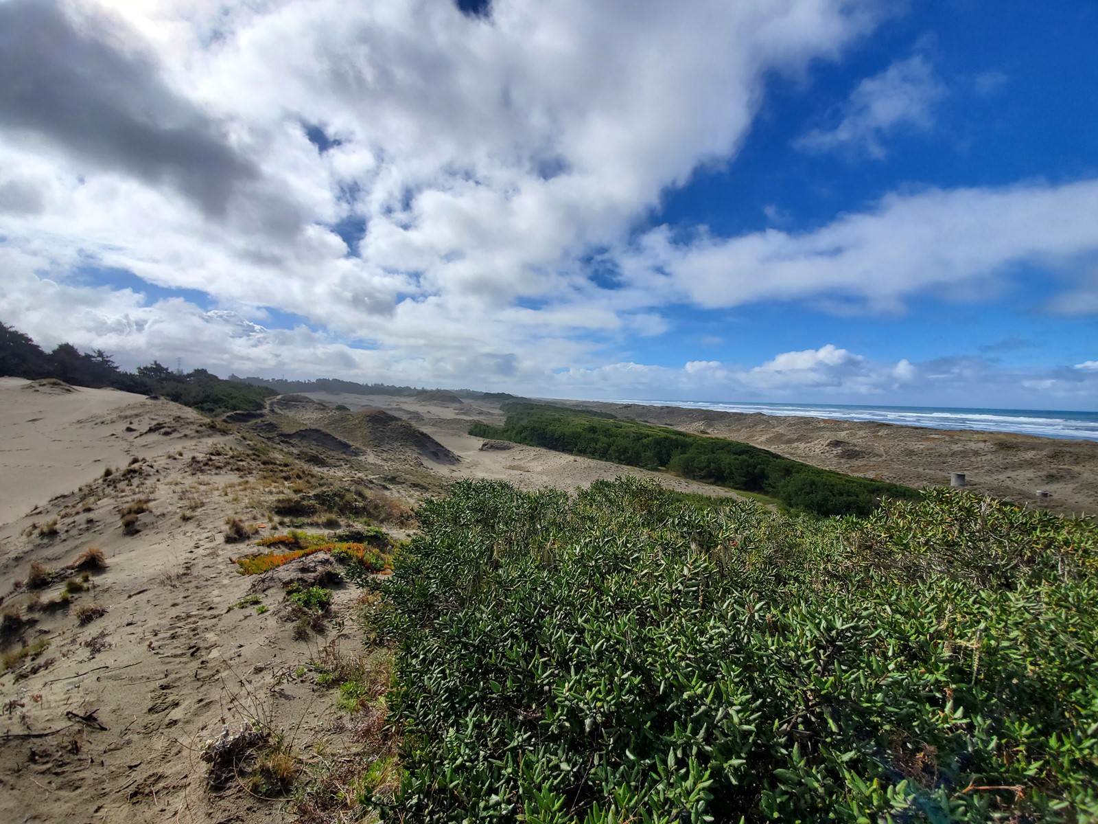 DUNES1_1087318580.jpg
