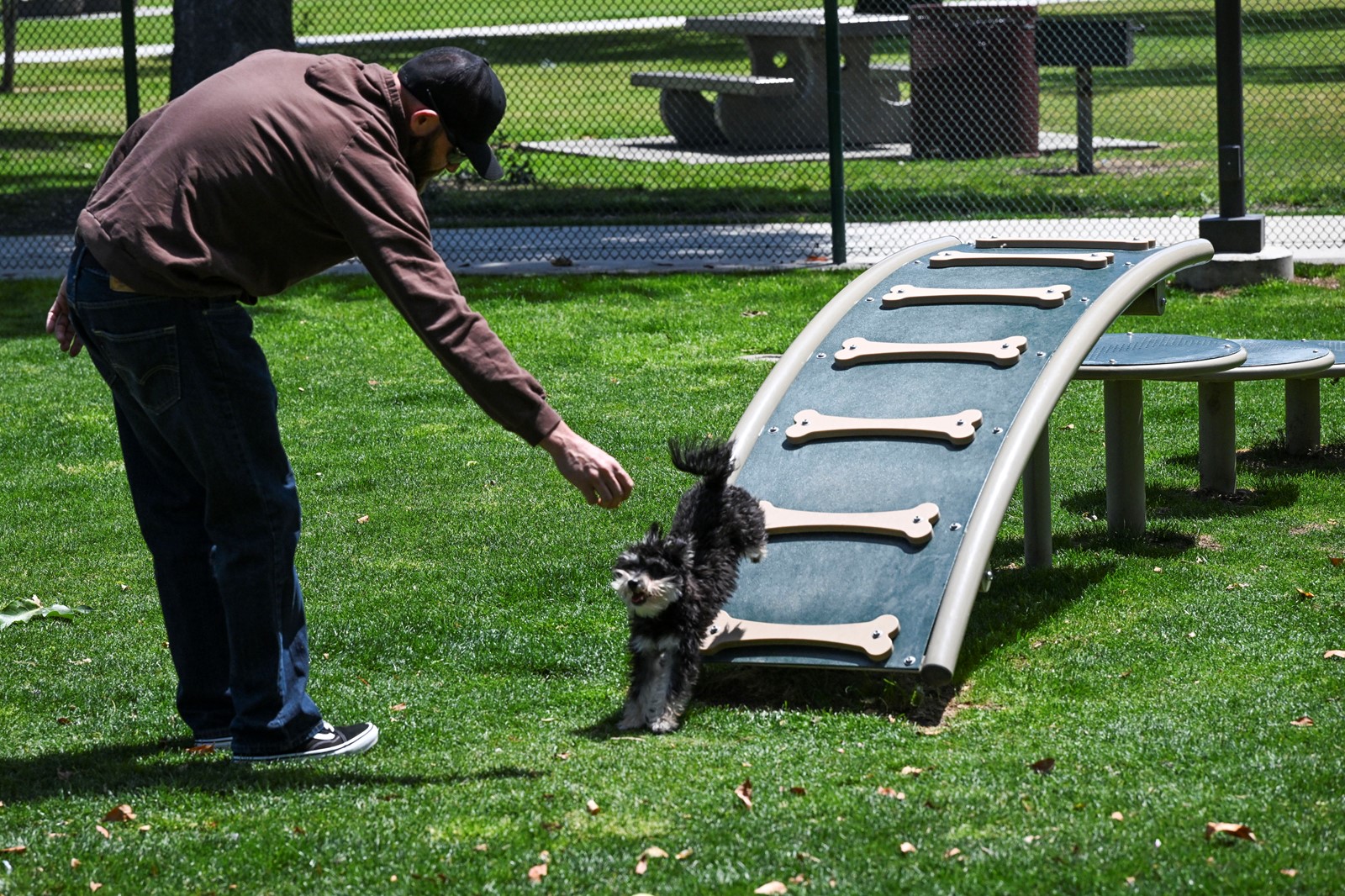 0423_NWS_IDB-L-DOGPARK-0423-02_1092287885.jpg