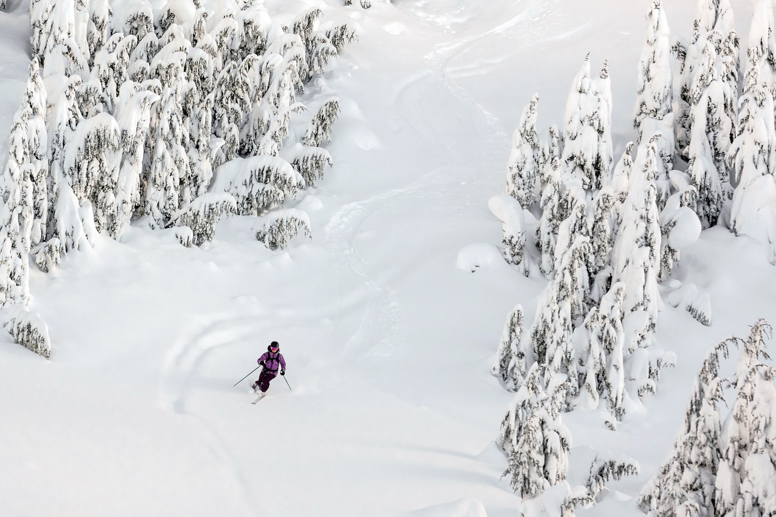 0224_NWS_TPD-Z-ski-022525-02_1103698795.jpg
