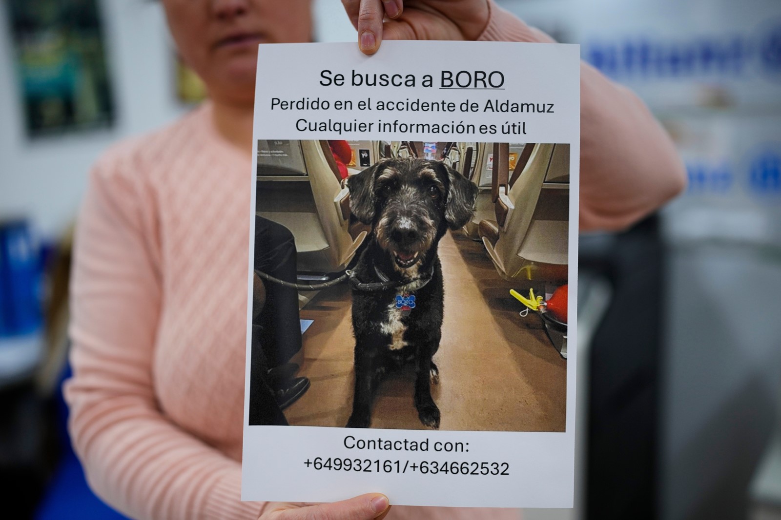 Spain_Train_Crash_Lost_Dog_55379--3cfcf_1102366527.jpg