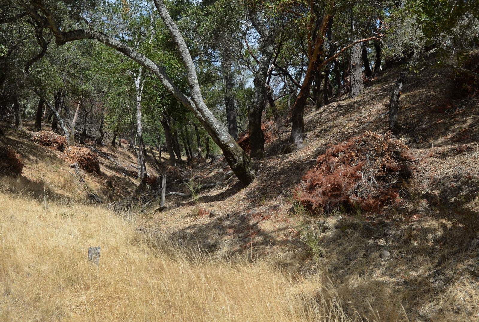 0219_NWS_MIJ-L-BURNS-0220_1059847158.jpg