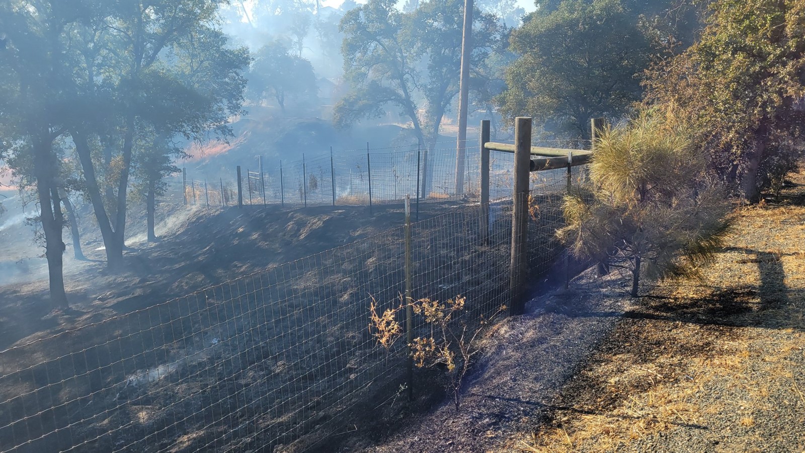 FIRES_1095087277.jpg