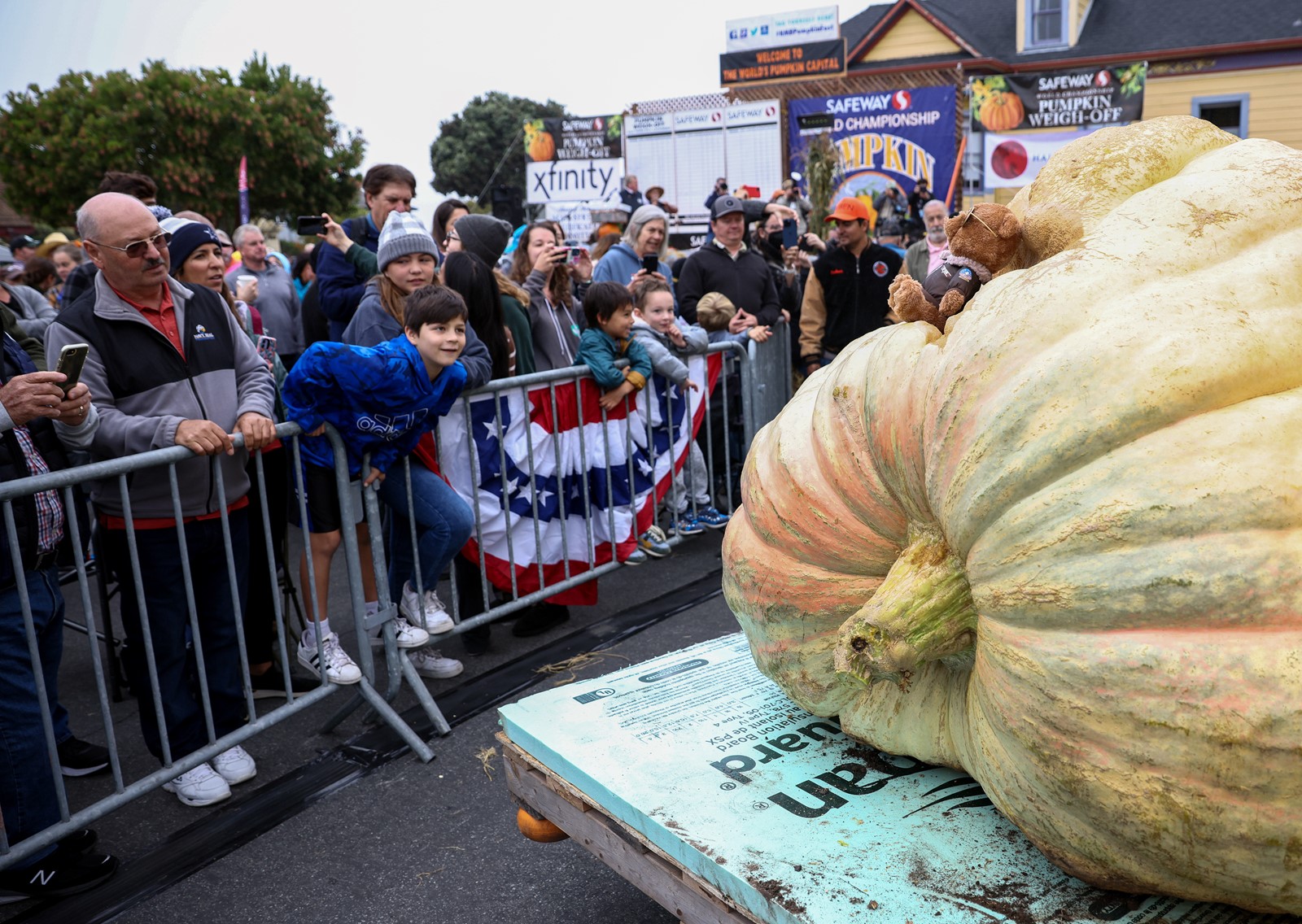 SJM-L-PUMPKIN-1011-2_1056313979.jpg