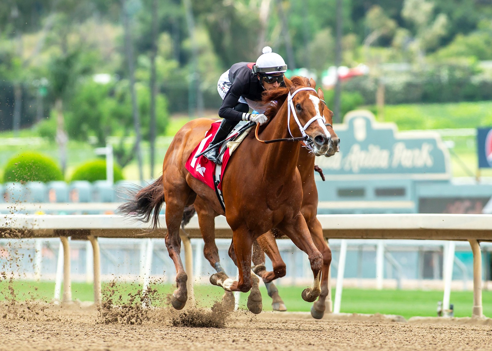 Santa_Anita_Horse_Racing_03735--7fd73_1079174290.jpg