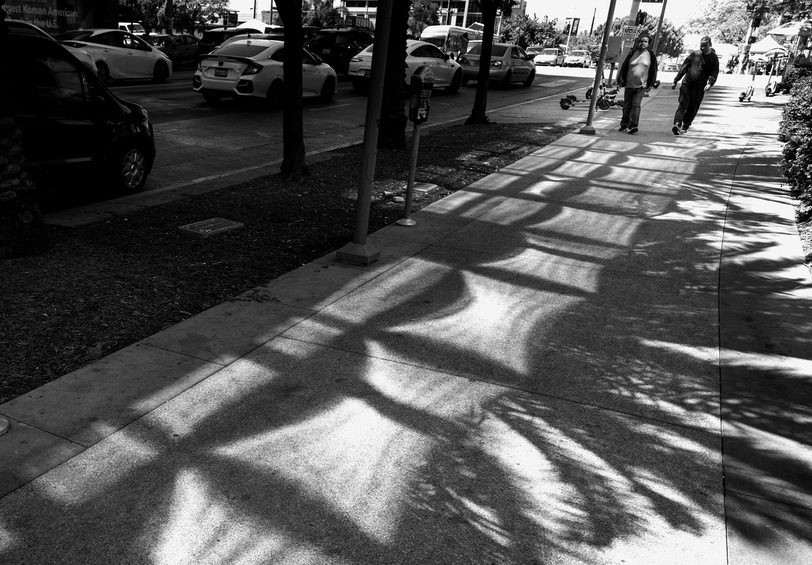 0716_NWS_LDN-L-A2-PALMS-0717_1095382187.jpg