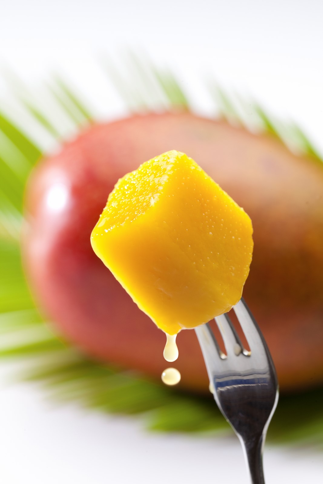 0714_NWS_tdp-z-mangoes-0716-01_1095317206.jpg