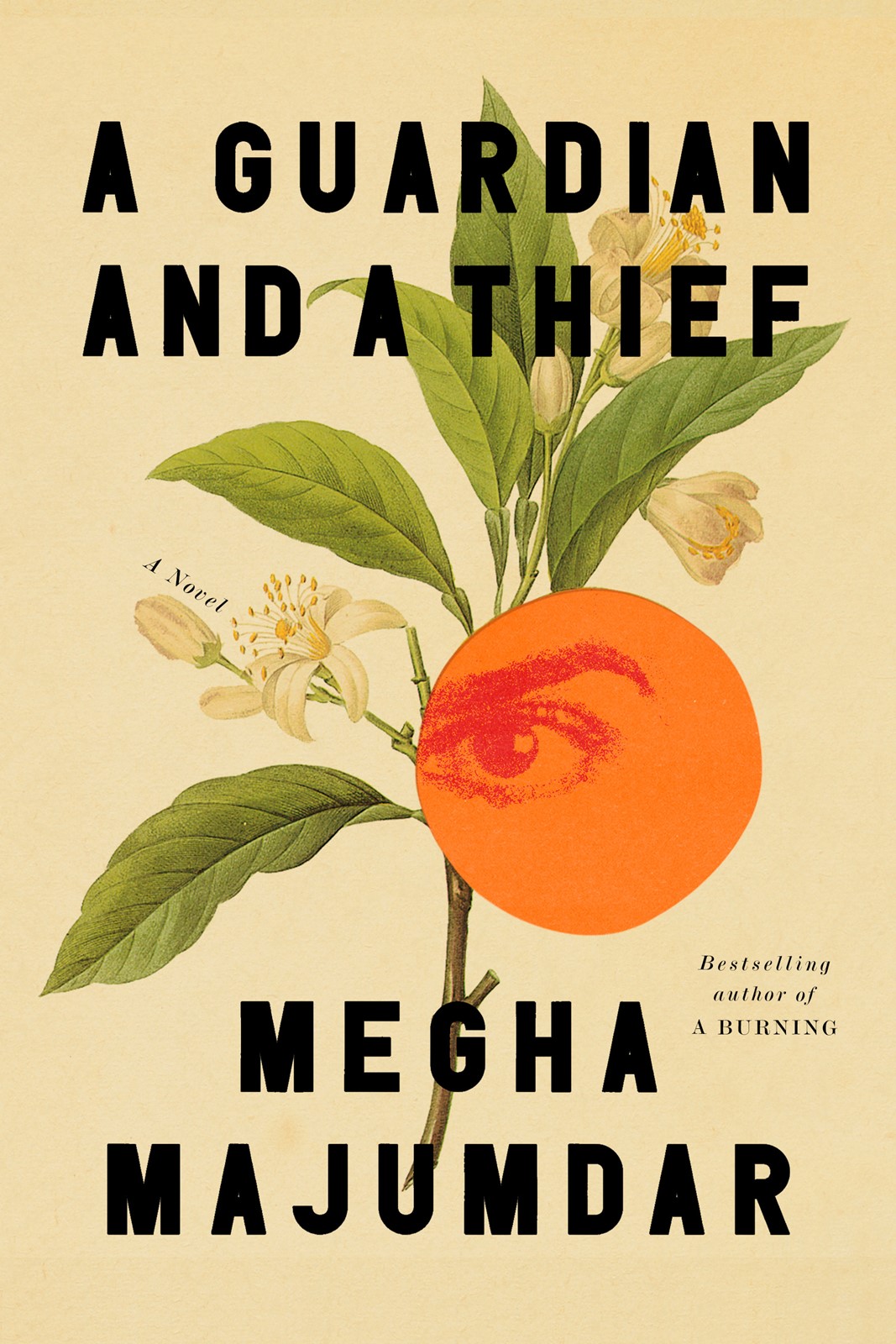 202510220400MCT_____PHOTO____BOOKS-BOOK-GUARDIAN-THIEF-REVIEW-MCT_1099023831.jpg