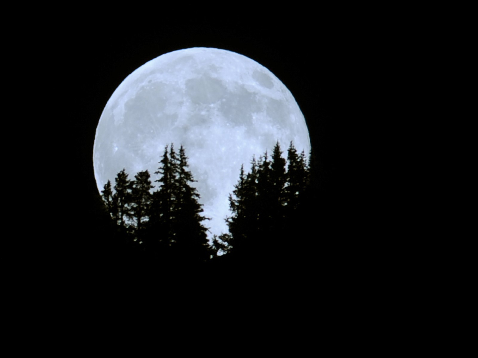 TDP-Z-CD14FULLMOON_1788_1059216200.jpg