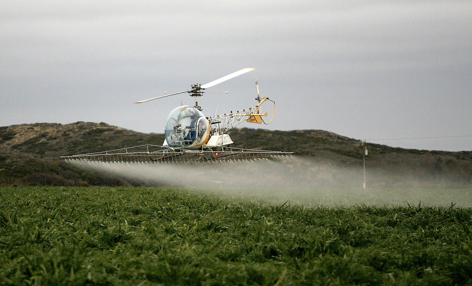 SJM-L-PESTICIDES-0426-1_1092442469.jpg