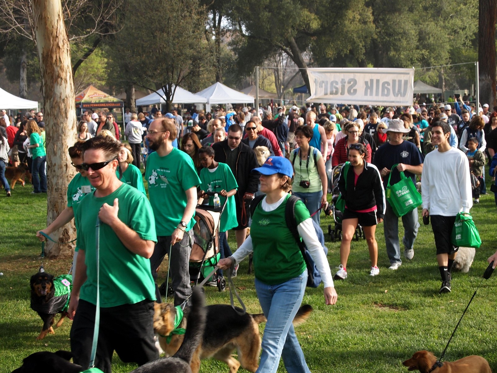 0417_NWS_RPE-L-ANIMALWALK-0419_1092088786.jpg