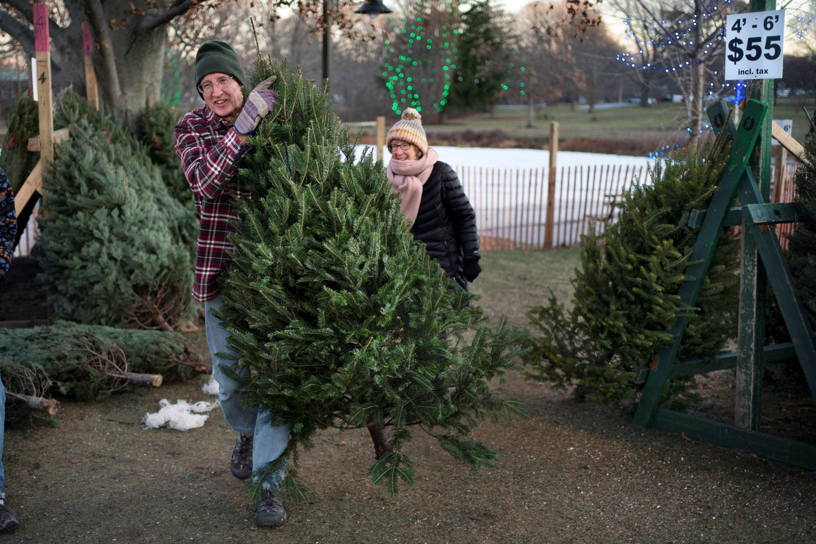 Inflation_Christmas_Trees_57749--362e7_1058102673.jpg