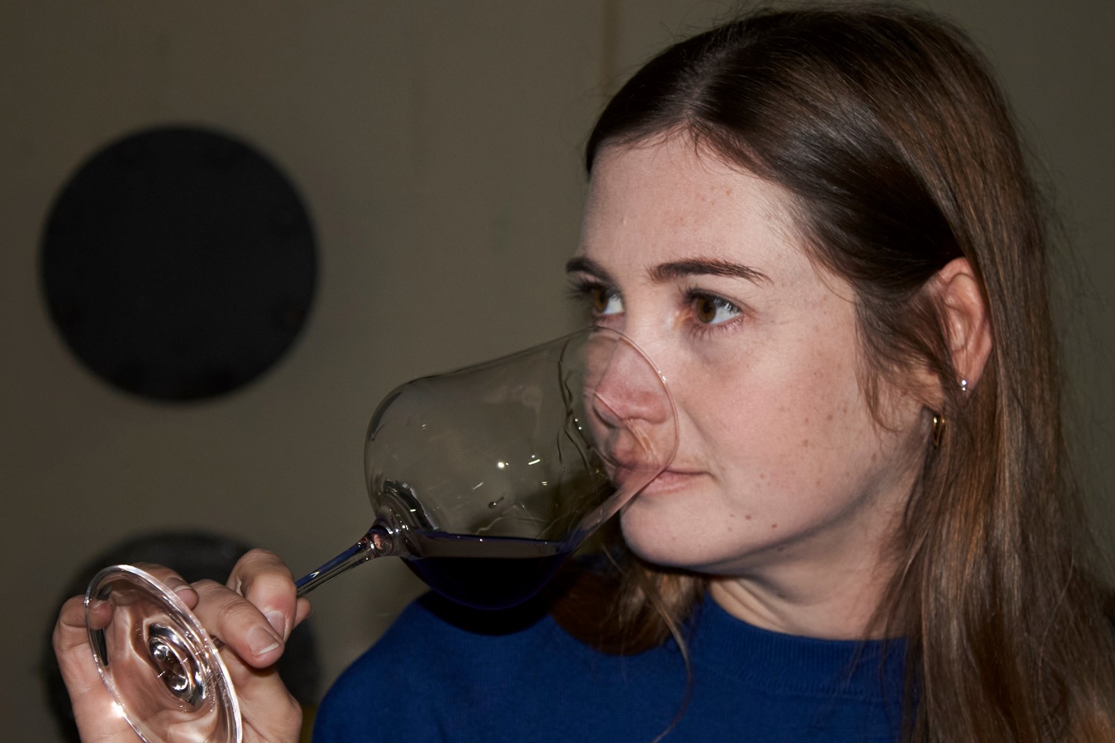 South_Africa_Home_Vineyard_4688_--f02c7_1108054580.jpg