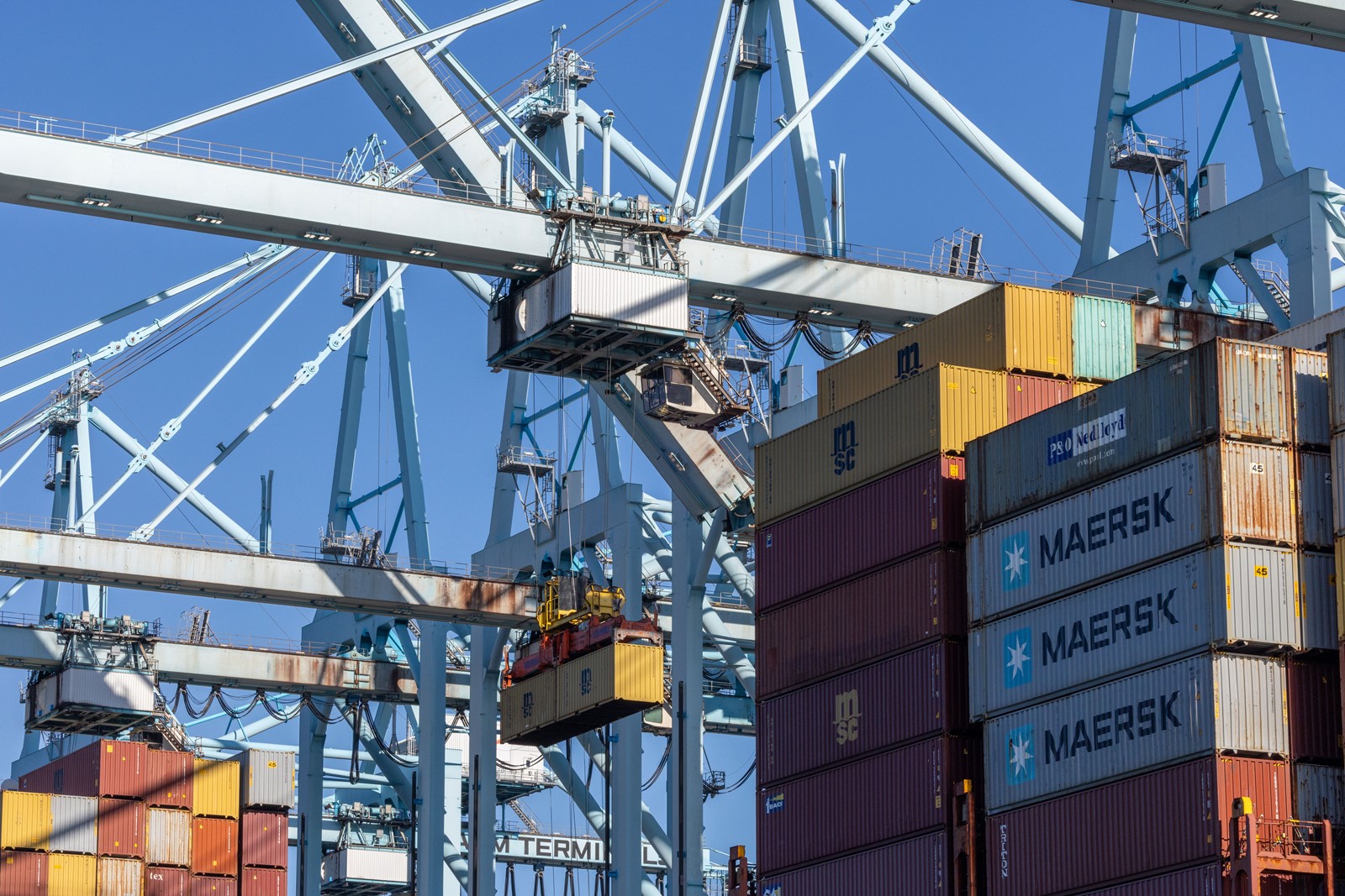 TDB-L-PORTOFLA-0927-19_1087767271.jpg