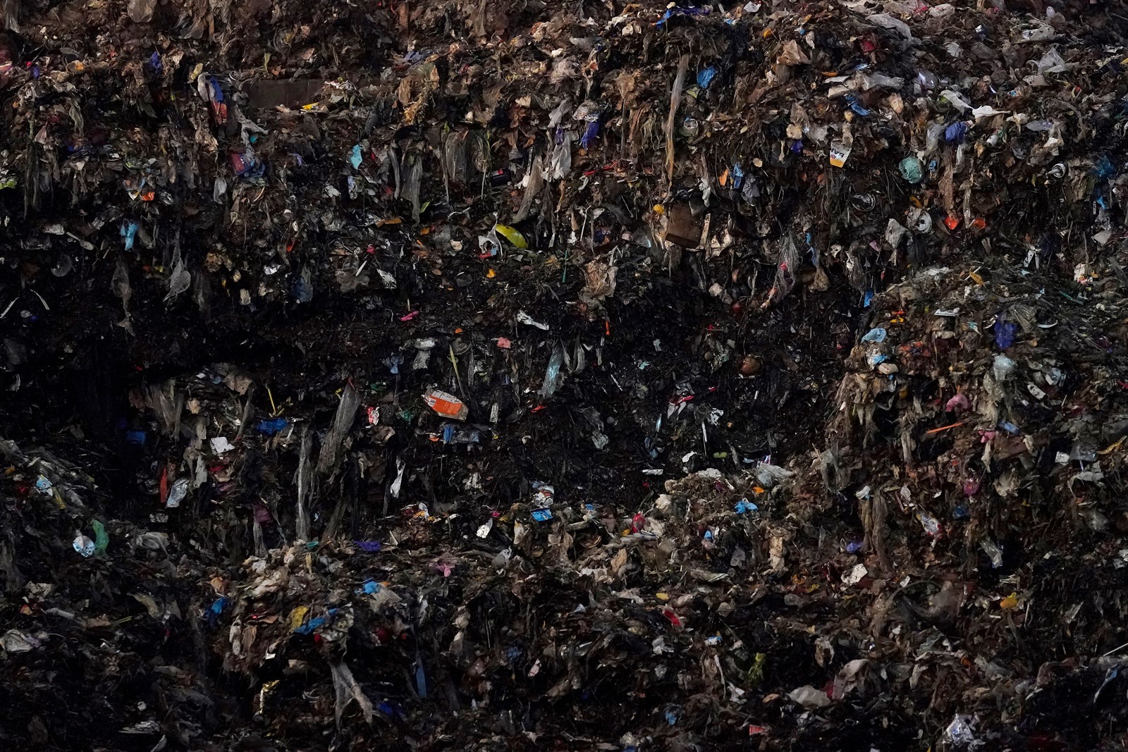 Climate_Choices_Food_Waste_23545--d7937_1098992039.jpg