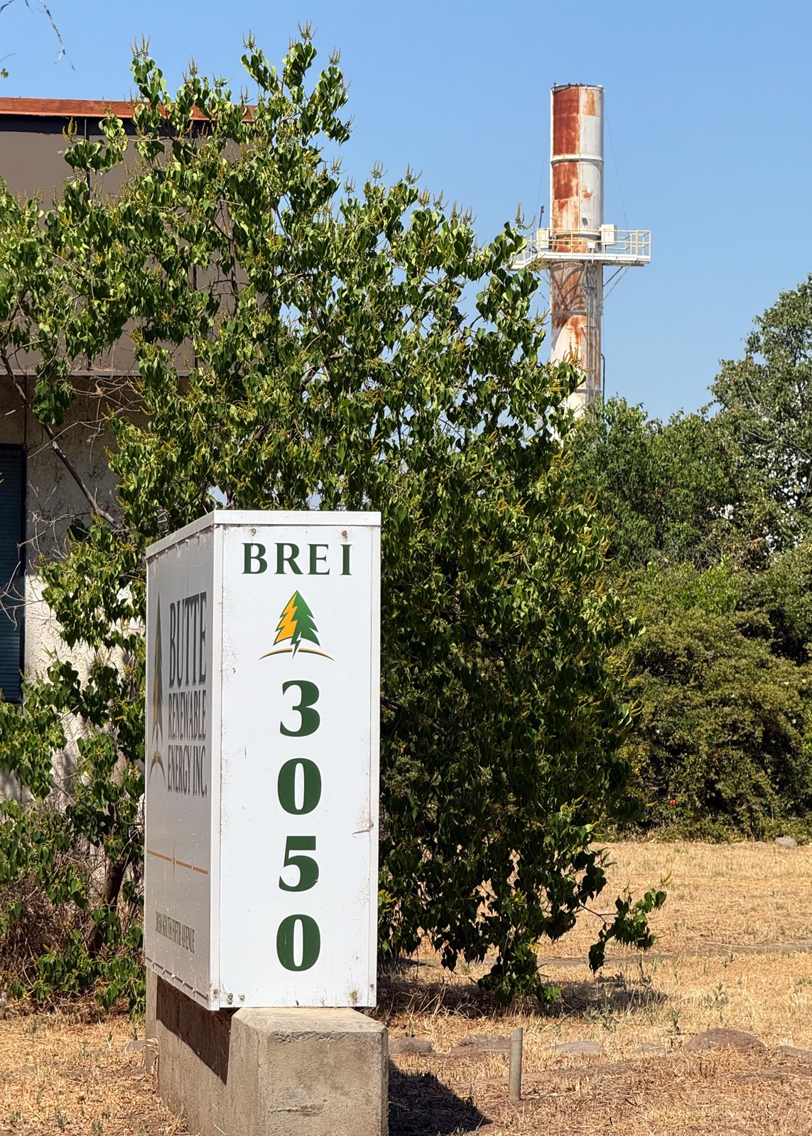 BIOMASS-02_1095202827.jpg