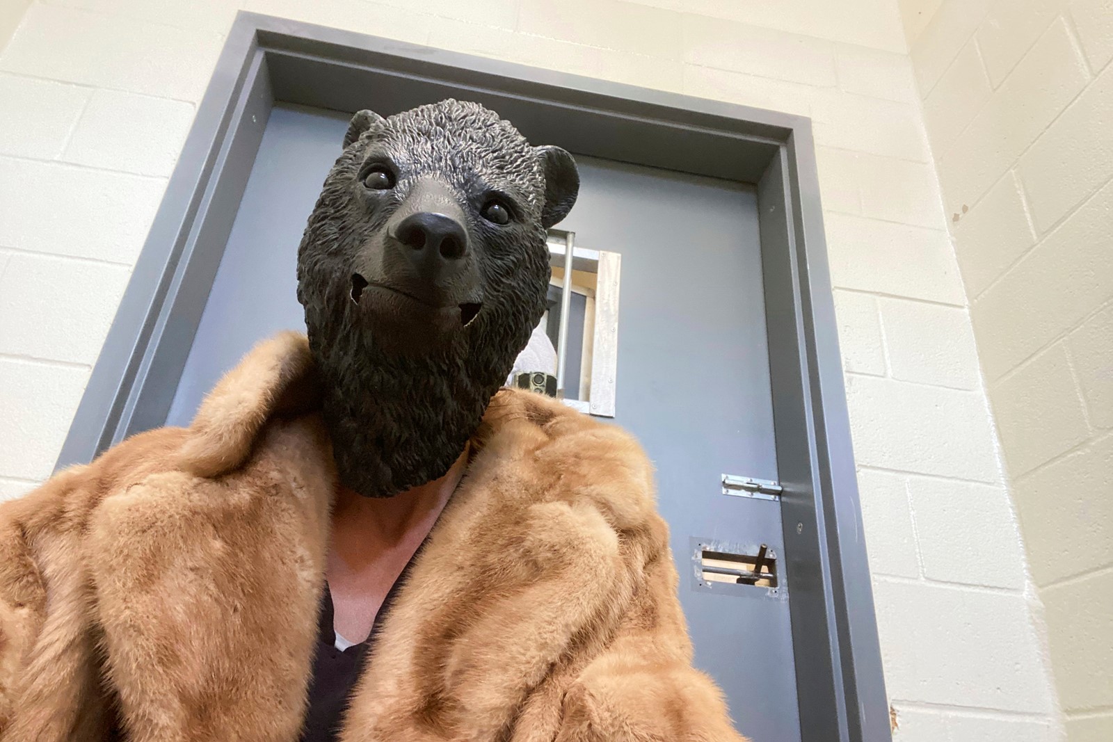 Rescued_Bear_Cub_42190--95437_1093588047.jpg