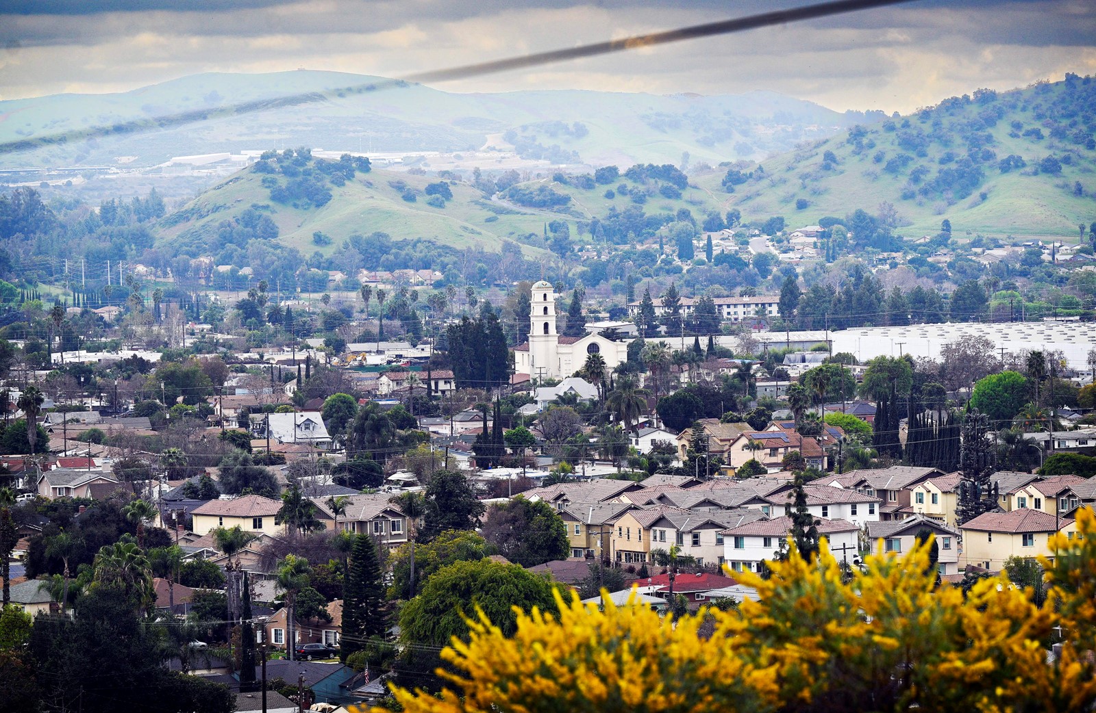 0315_NWS_IDB-L-A2-POMONA-0317-ASP_1076271770.jpg