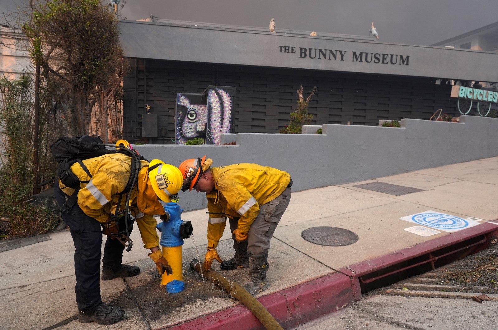 California_Wildfires_88129--492ce_1088442727.jpg
