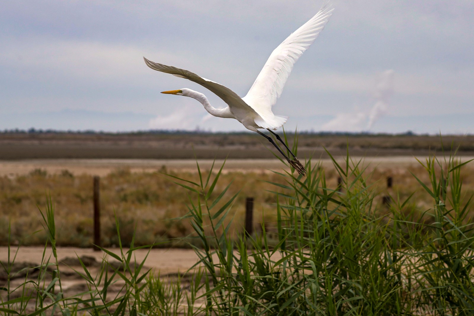 OPED-SALTONSEA-COMMENTARY-LA_1056307600.jpg
