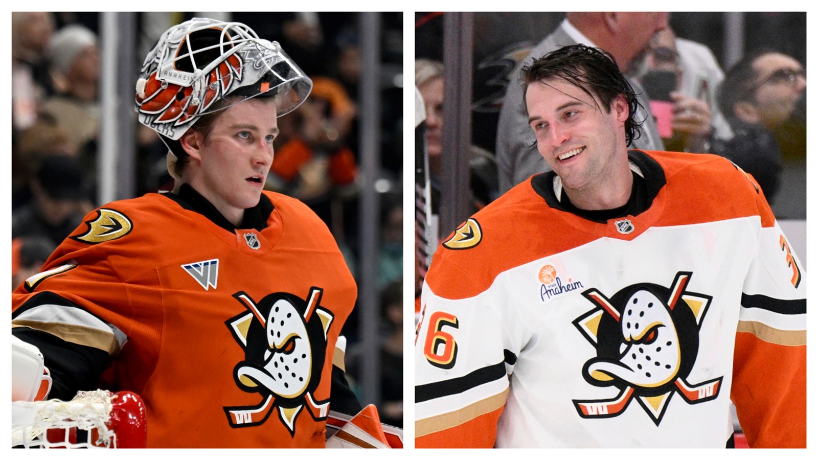 Ducks-Dostal-Gibson_1089385795.jpg