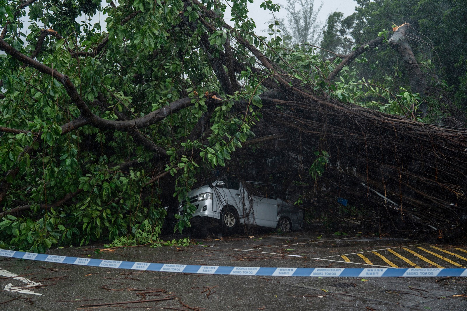 Hong_Kong_Asia_Storm_91060--514c6_1095516073.jpg