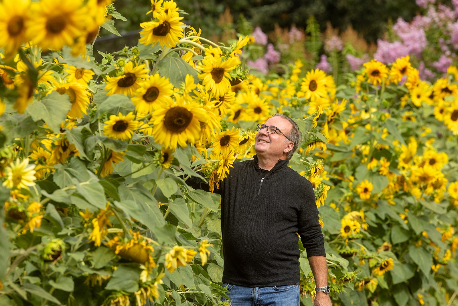 TPD-L-SUNFLOWERS-081826_003#1_1110150313.jpg