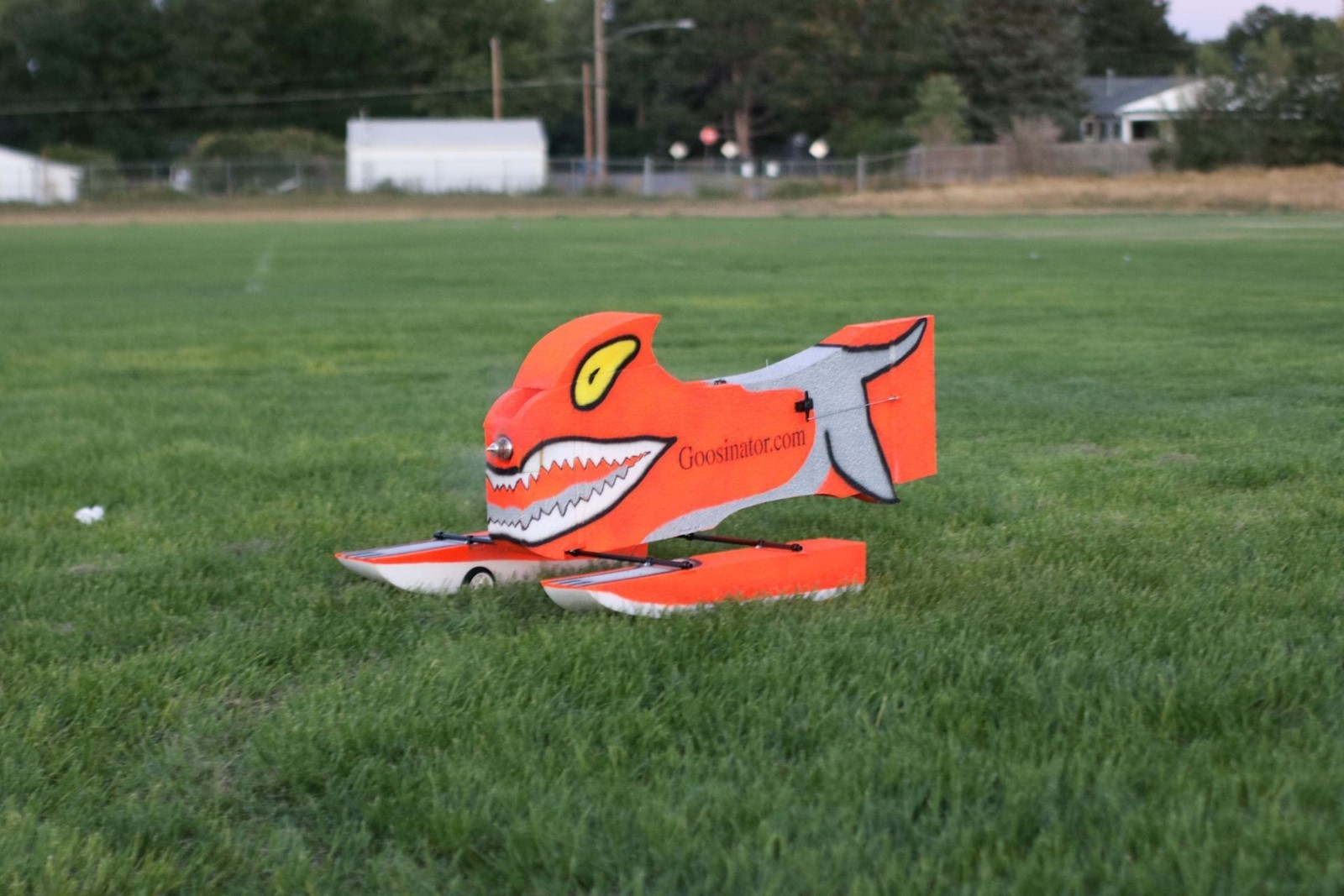 DCC-z-Geese-1108_1086254392.jpg