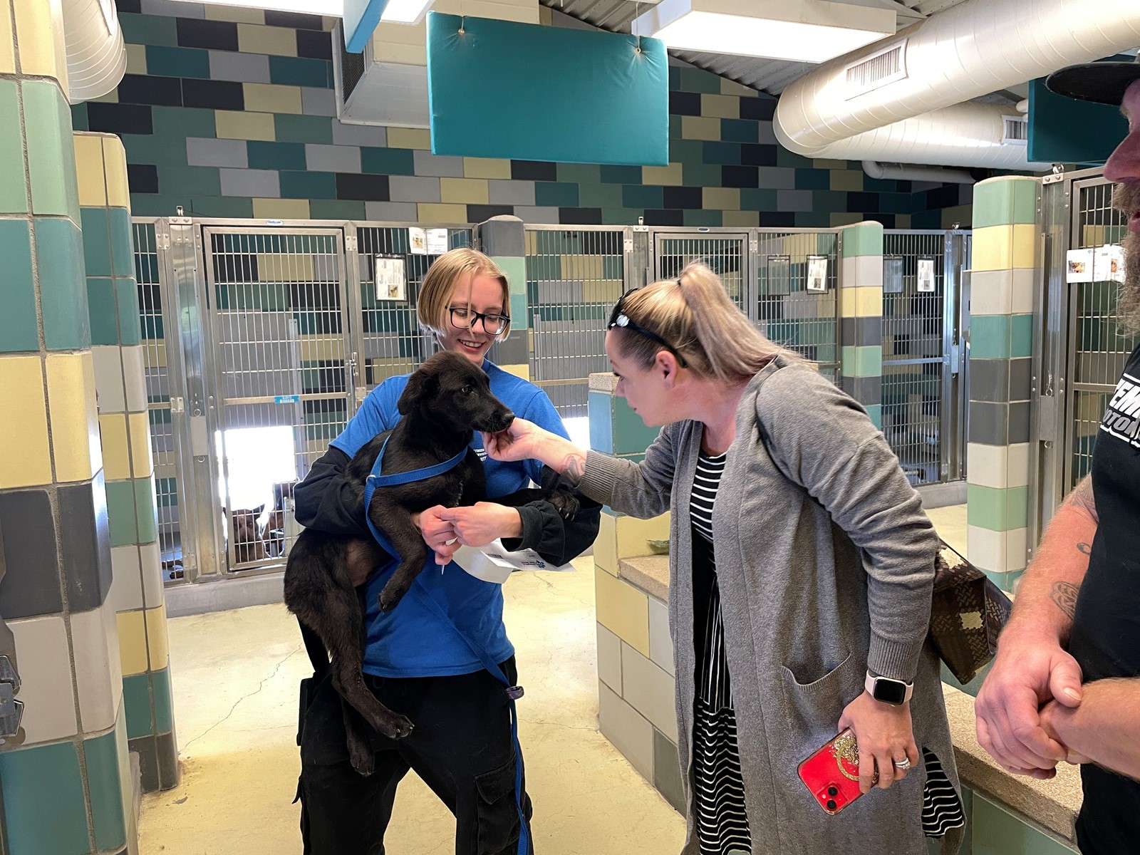 0214_NWS_RPE-L-FOSTERPETS-0217-01_219832493_1089809717.jpg