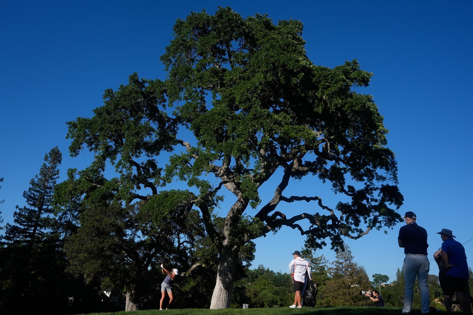 LPGA_Tour_Golf_19128--b9628_1104674714.jpg