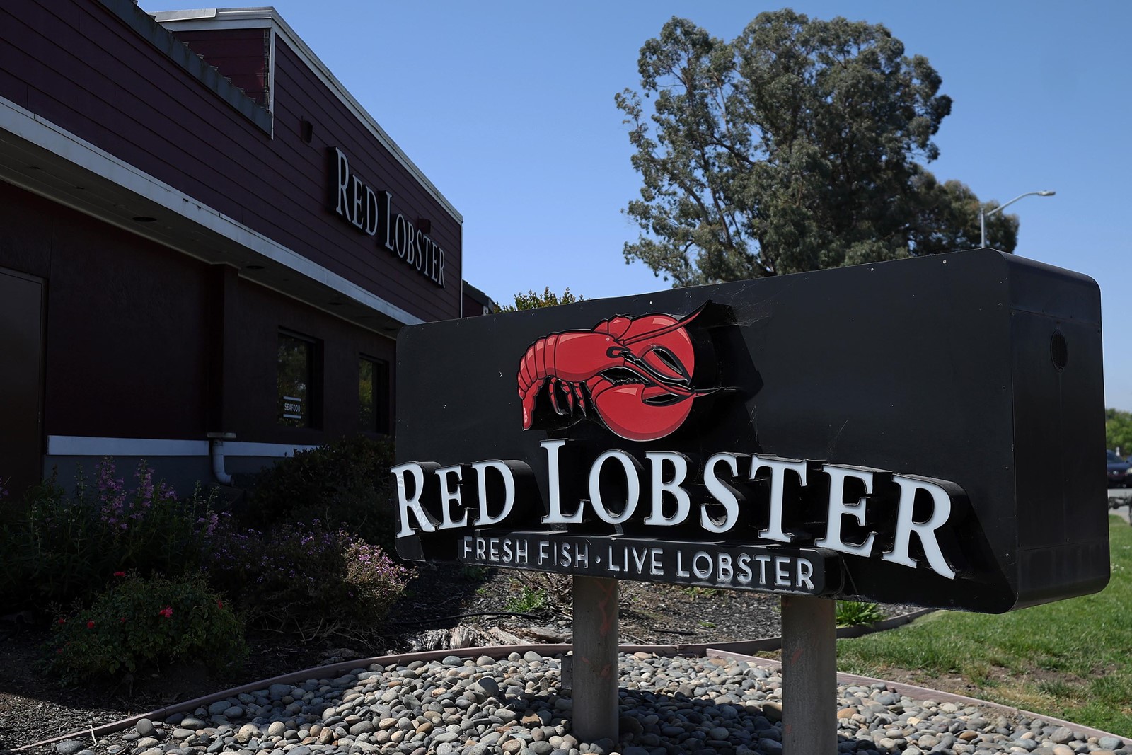 202405150415MCT_____PHOTO____BIZ-REDLOBSTER-SHRIMP-PROMOTION-GET_1078771455.jpg