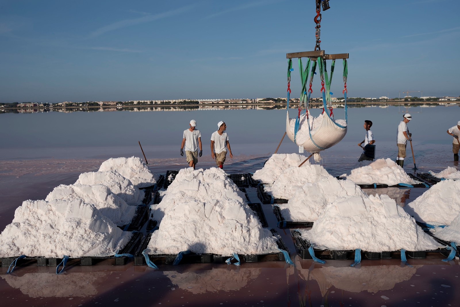 0226_NWS_tdp-z-fesalts-0228-01#2_1075495926.jpg