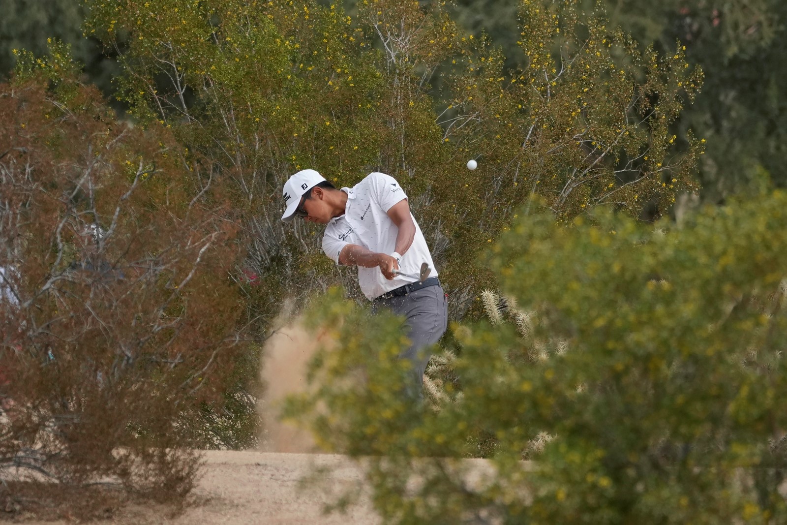 Phoenix_Open_Golf_59787--ef2ea_1089612554.jpg