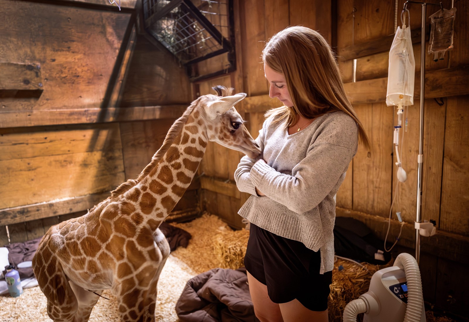 TPD-L-jb0416_giraffe_009_1105623367.jpg