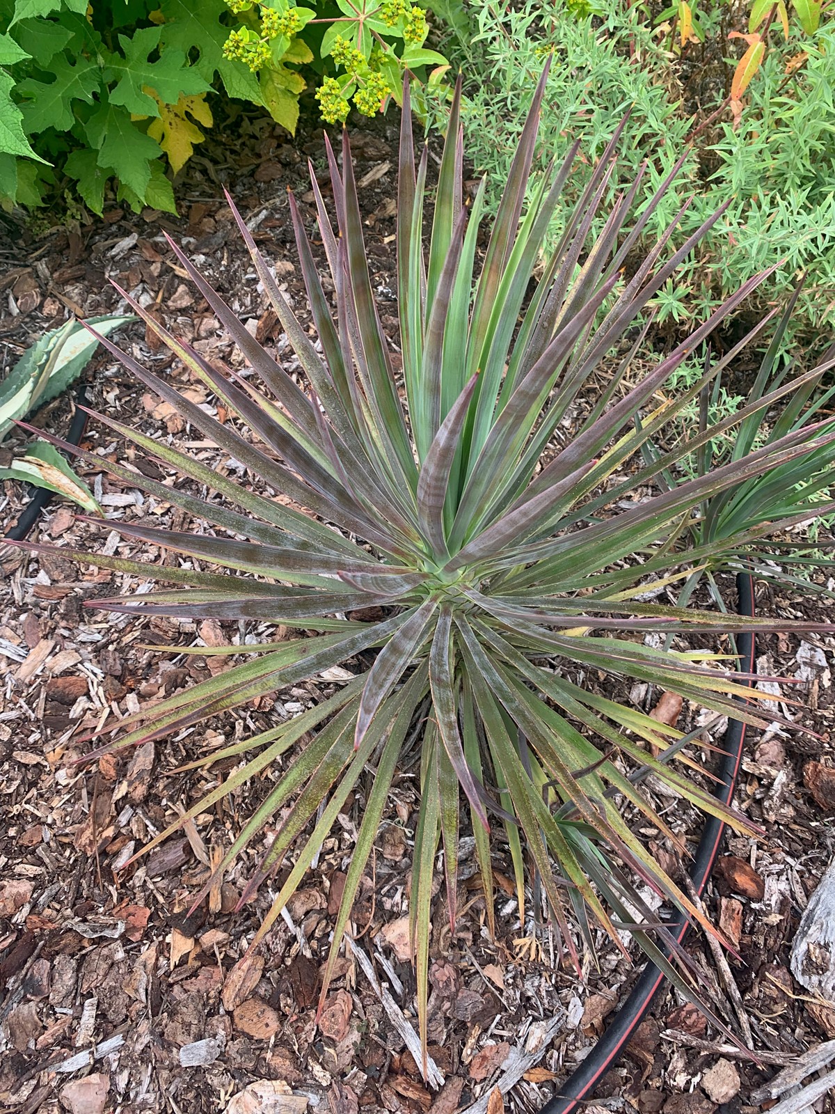 STC-L-COL-KARWIN-0721-02_1065091778.jpe