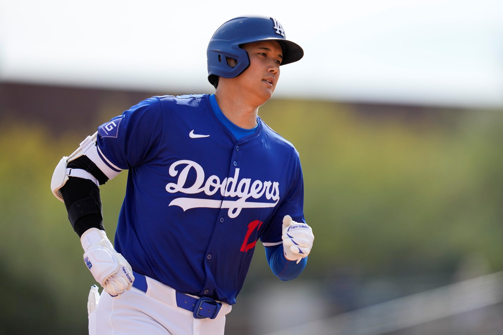 White_Sox_Dodgers_Spring_Baseball_85944--7e012_1075553064.jpg